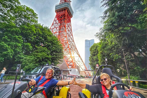Tokyo: Shibuya & Tokyo Landmarks Guided Drive Tokyo Shibuya Night Drive Experience