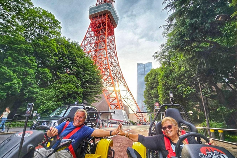 Tokyo: Shibuya & Tokyo Landmarks Guided Drive Tokyo Shibuya Night Drive Experience