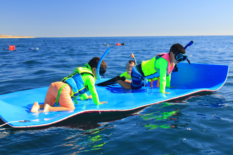 圣何塞德尔卡波私人浮潜圣何塞卡波：私人浮潜，开放式酒吧和美食