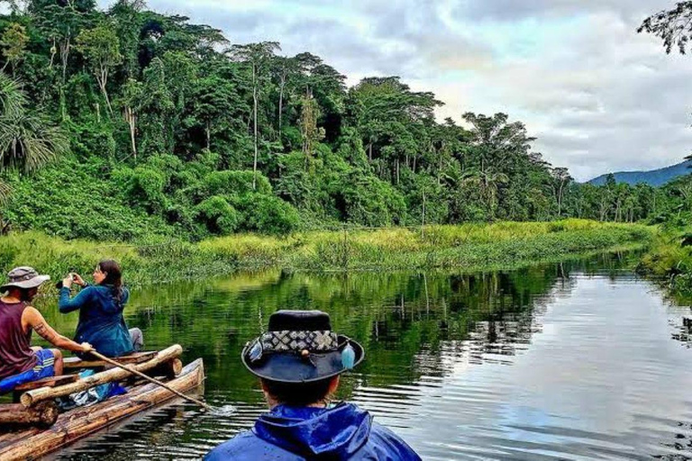 Manu: 8-Day Amazon Wildlife & Jungle Expedition