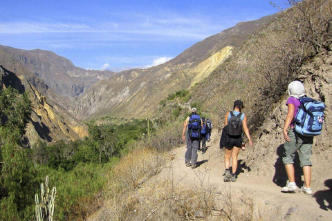 2-dagars vandring genom Colca Canyon