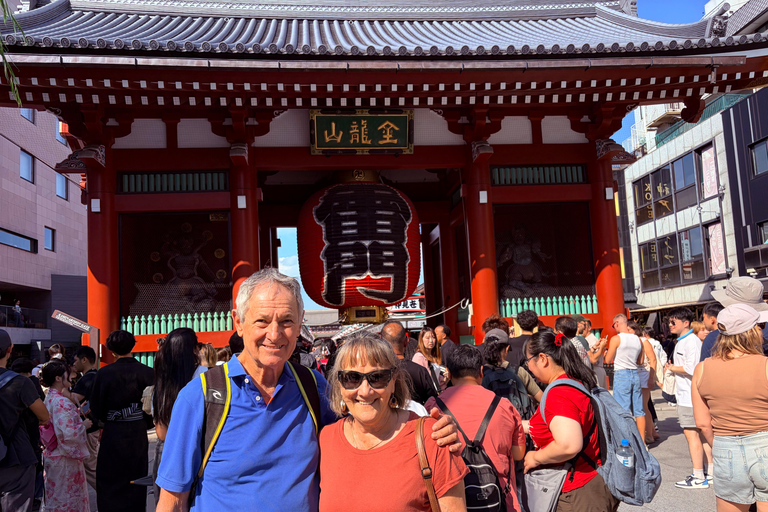 Tokyo: Private Half-Day Tour by Car with Local Guide Premium Van 6 pax