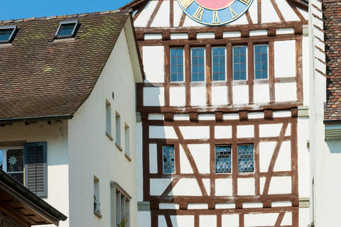 Zürich/Lucerne : Excursion d&#039;une journée aux chutes du Rhin, au Titisee et en Forêt-Noire