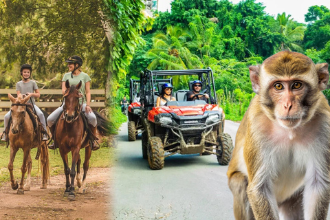 Puerto Plata: Ranch Tour with Monkeys Horseback ride & Buggy Puerto Plata: Hacienda Tour with Monkeys Horseback & Buggy