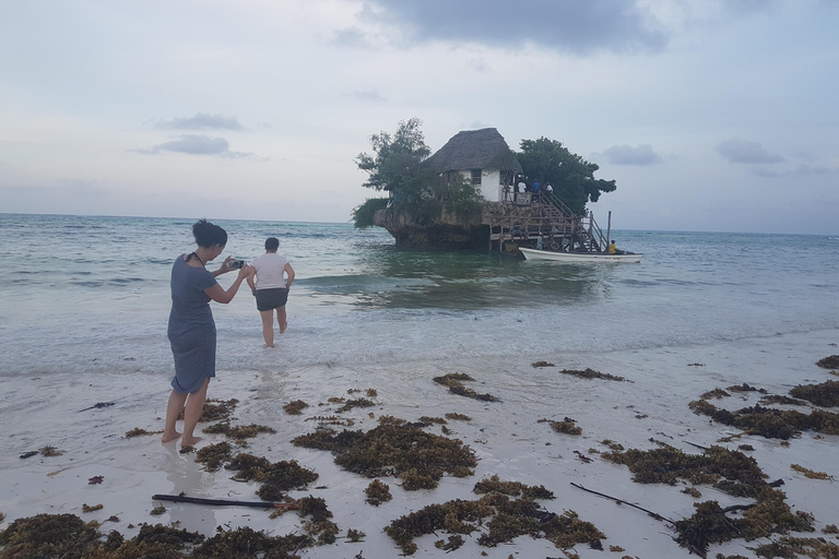 Zanzibar: Prison Island, Jozani Forest and Paje Beach Tour