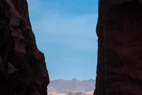 Wadi Rum: Bedouin Culture Tour with Bedouin Guide in desert CAML TOUR 1HOUR