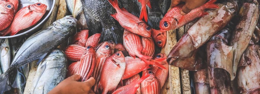 Bali : visite du marché aux fruits de mer de Jimbaran avec dîner au coucher du soleil