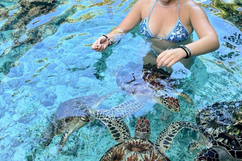 ZANZIBAR: Salaam Cave Sea Turtle Swim, Feed & Hotel Transfer