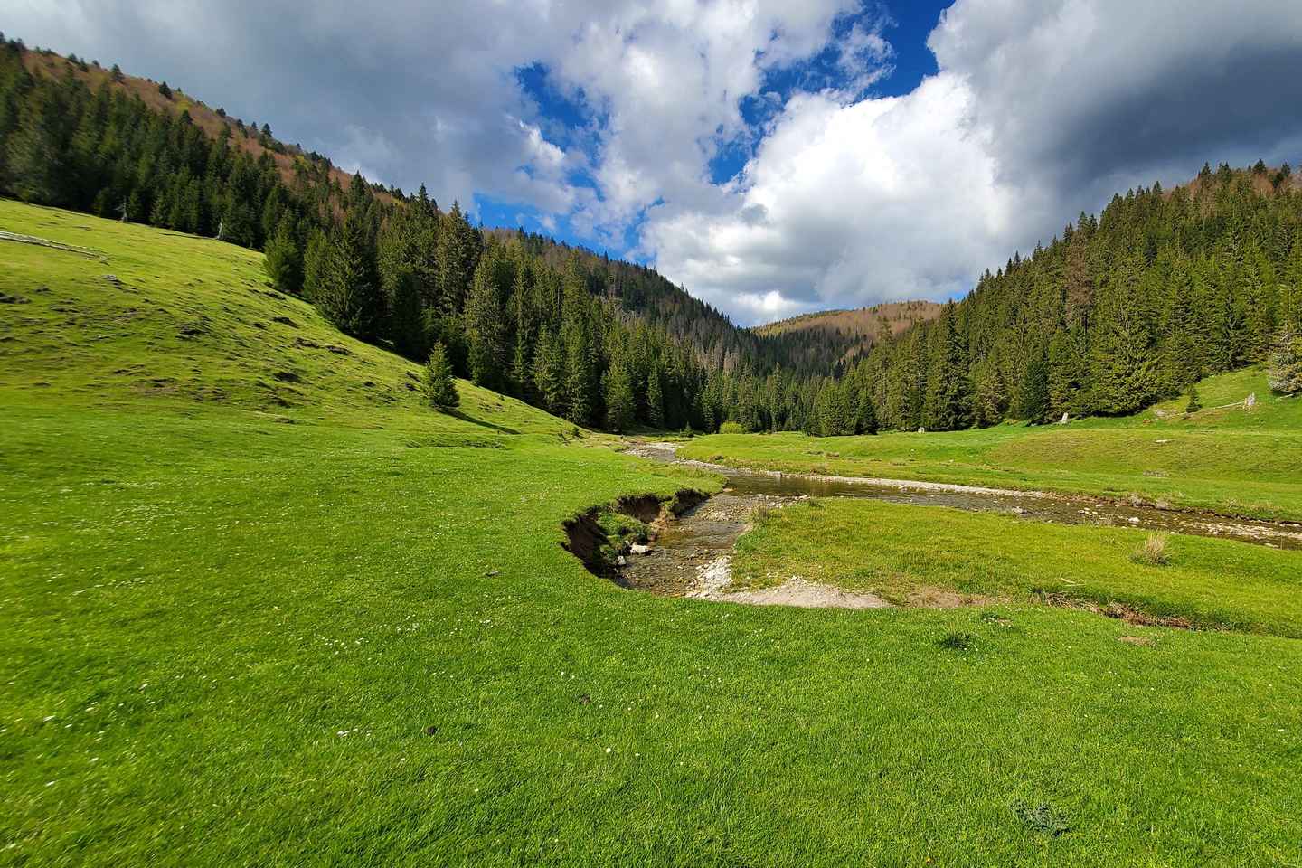 «Из Клуж-Напока: Захватывающий поход по Карпатам»