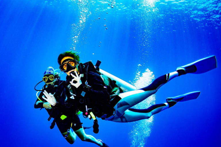 Colombo: Shipwreck Diving Experience within the city