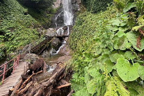 Tour de día completo por el monte desde Batumi