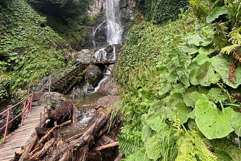 Dagvullende tours in de bergen vanuit Batumi