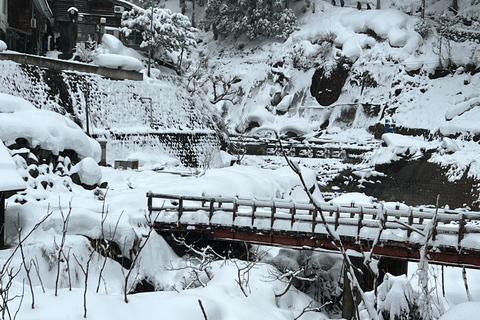 Nagano: Snow Monkeys, Zenko-ji Temple, and Lake Nojiri Tour