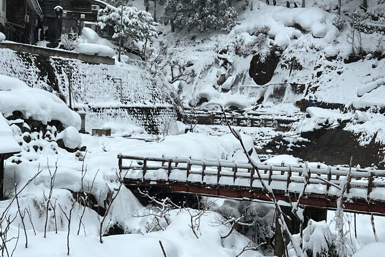 Nagano: Snow Monkeys, Zenko-ji Temple, and Lake Nojiri Tour