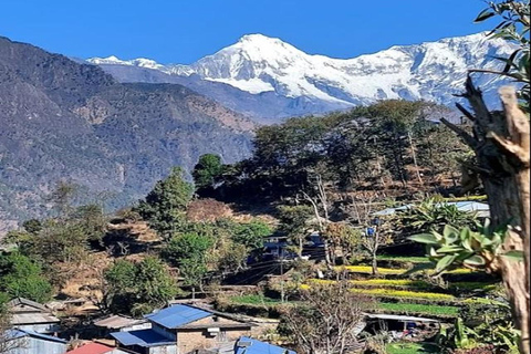 Mt. Ganesh Himal (Yangra) 2025/2026