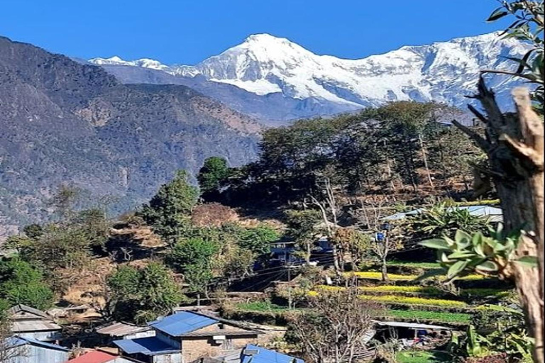 Mt. Ganesh Himal (Yangra) 2025/2026