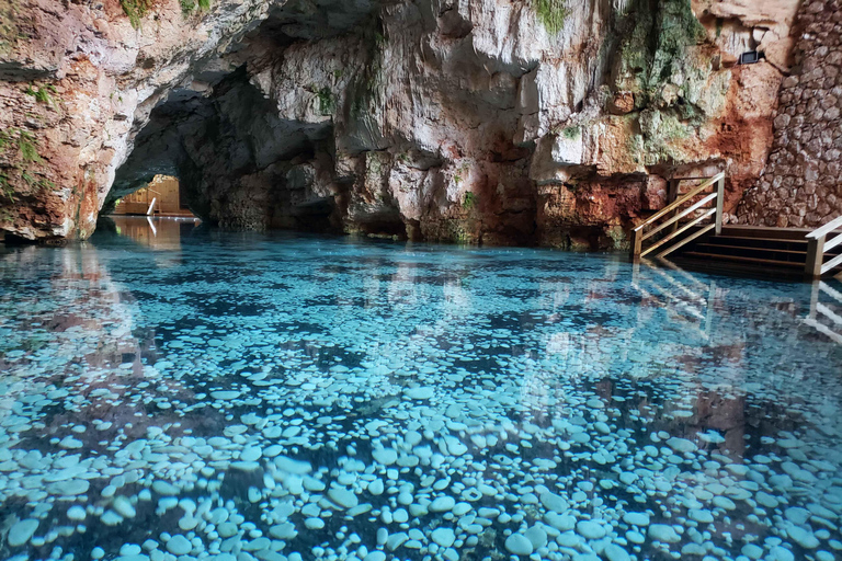 Punta Cana: Buggies, Zipline, Horses & Cenote Swim Combo