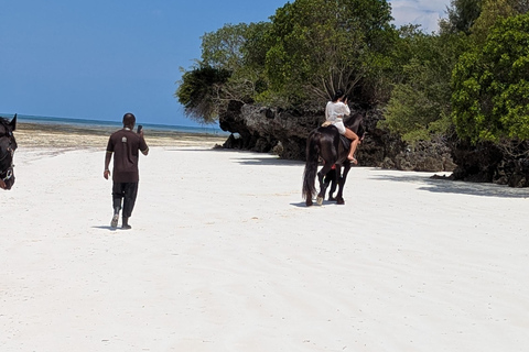 Zanzibar: Beach Horse Riding At Jambiani With Hotel Pick up PRIVATE TOUR WITH HOTEL PICK UP & NO ENTRY FEE INCLUDE