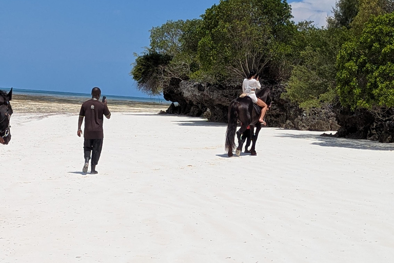 Zanzibar: Beach Horse Riding At Jambiani With Hotel Pick up PRIVATE TOUR WITH HOTEL PICK UP & NO ENTRY FEE INCLUDE