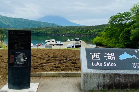 东京：富士山、Tatoo OK 温泉、清酒品尝和 Hoto 午餐