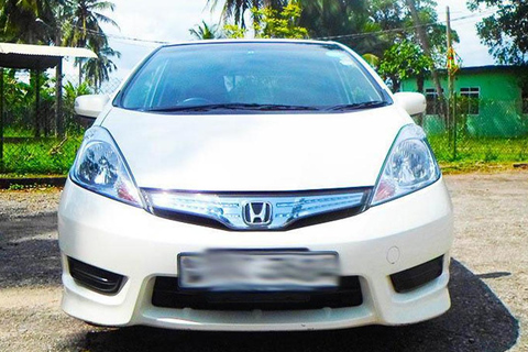 Trincomalee: Minneriya Safari & Sigiriya/Dambulla Transfer