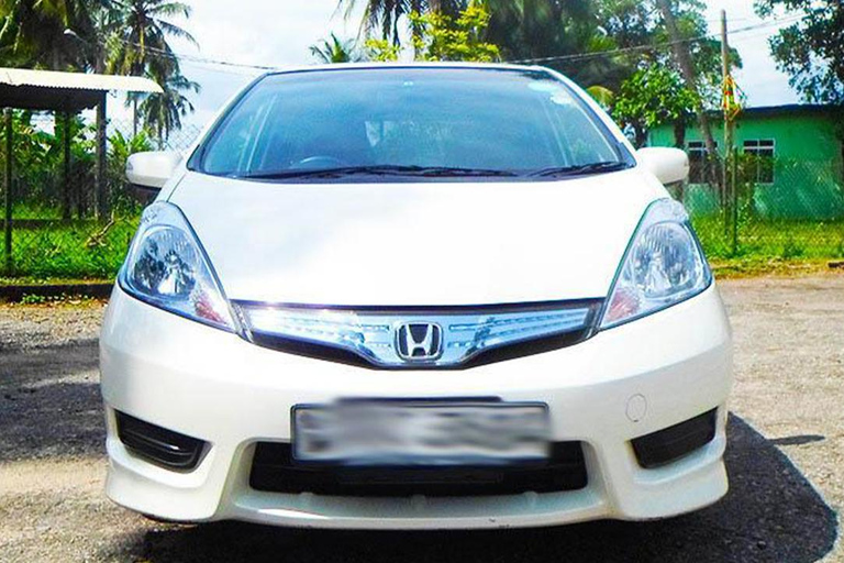 Trincomalee: Minneriya Safari & Sigiriya/Dambulla Transfer