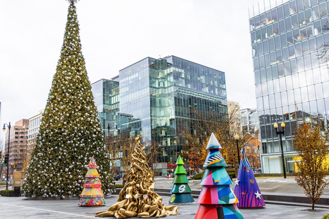 DC: Downtown Ultimate Holiday Walking Tour with Hot Cocoa