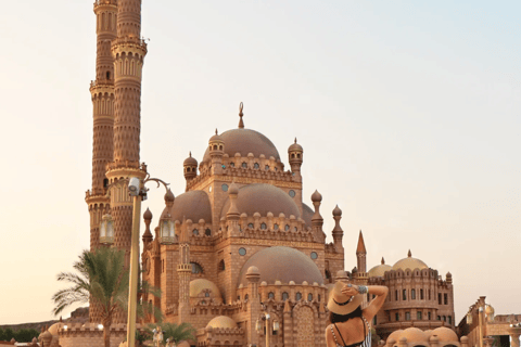 Sharm El-Sheikh: City Tour, Camel Ride, and Sandboarding