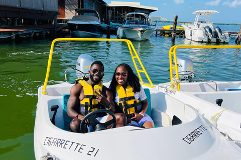 Cancun: Speedboat, Snorkeling, Dolphin Beach & Parasailing
