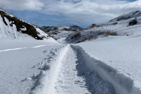 阿拉加茨山全天雪地体验之旅（含导游）