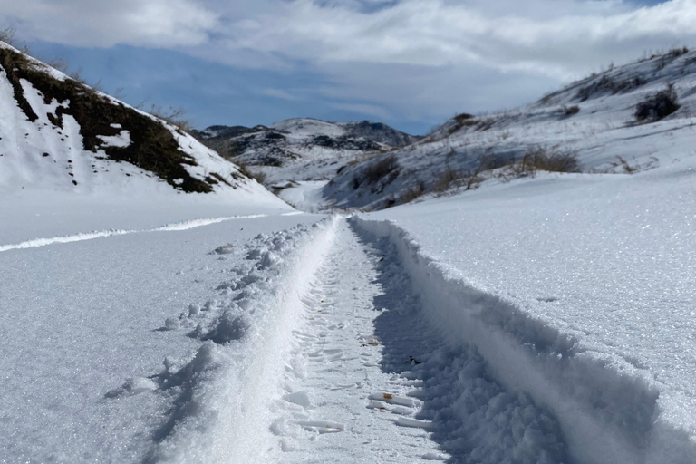 阿拉加茨山全天雪地体验之旅（含导游）