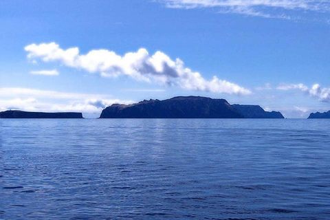 من فونشال: جولة إرشادية إلى جزر ديزرتاس