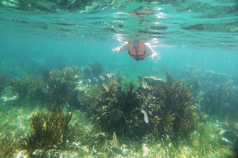 Da Cancun: Avventura di snorkeling a Puerto Morelos con snack