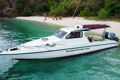 Labuan Bajo: Escursione privata a Komodo con snorkeling