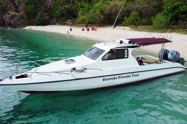 Labuan Bajo: Viagem privada de 1 dia a Komodo com snorkeling