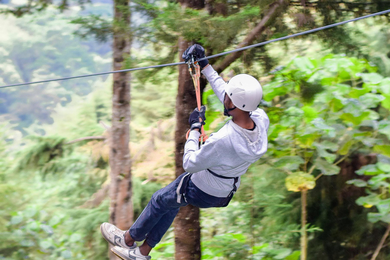 Kenya: la più lunga avventura in zipline in Africa a The Forest.