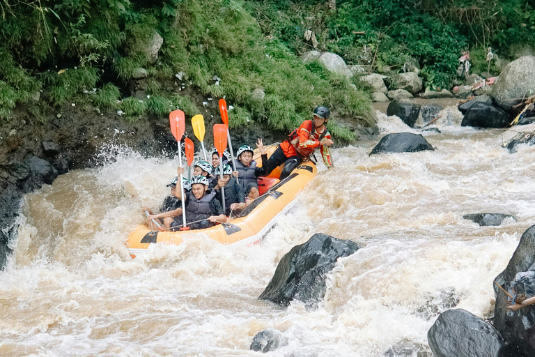 From Nairobi: White Water Rafting Experience Day Tour
