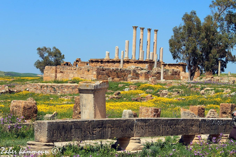 Private Roman Tour: Oudhna, Zaghouan & Thuburbo Majus