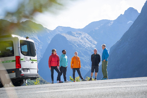 From Te Anau: Milford Sound Cruise & Key Summit Hike