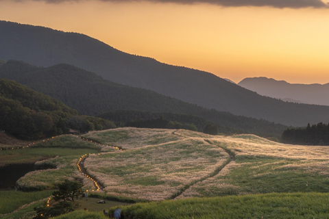 Nagoya: Soni Highlands & Akame 48 Waterfalls Guided Hike