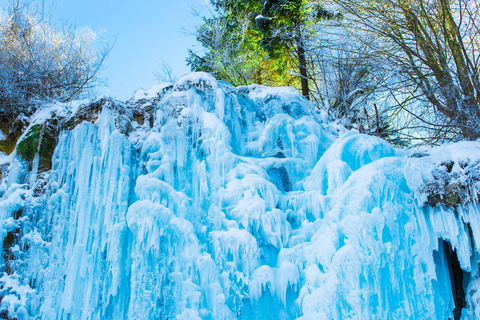 Desde Seúl: El Mundo del Esquí del Parque Vivaldi con el Valle de Hielo de EobiSólo transporte - Encuentro en Myeongdong