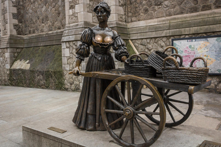 Dublín: Visita al Libro de Kells, el Castillo de Dublín y la Iglesia de CristoGira por Alemania