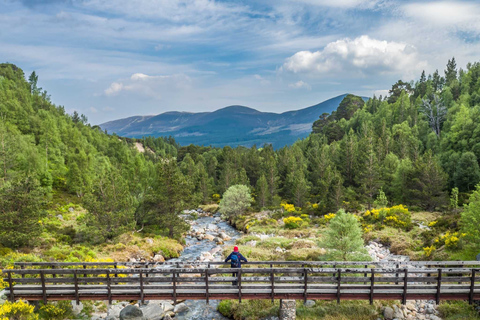 Edimburgo: Tour por Glencoe, Lago Ness e Pitlochry
