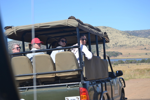 Pilanesberg Tour Big 5 hunt Pilanesberg Tour Big 5 hunt