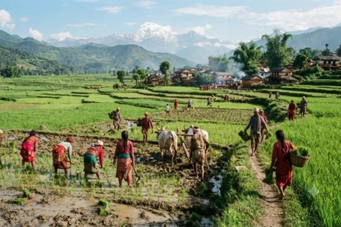 From Kathmandu: Nepali Village Trip with Cooking Class
