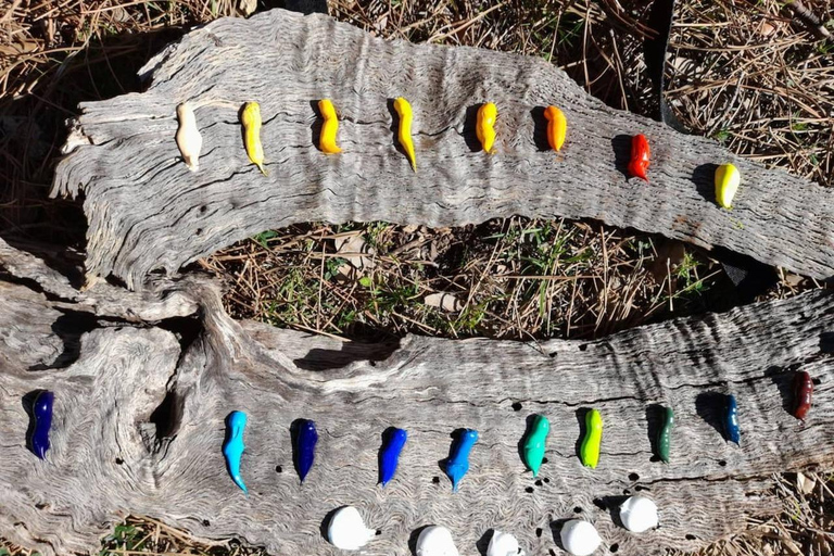 Paint outdoors by the sea in Deià