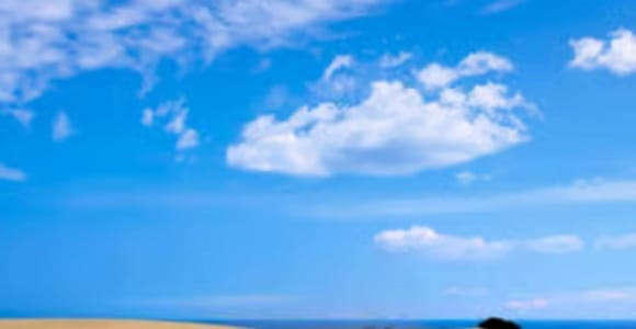Northern Fuerteventura: Visit to El Cotillo, Wine, and Dunes