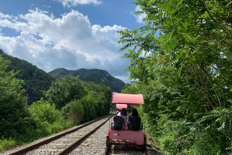 Séoul : Excursion d&#039;une journée à Gangwon-do avec le monde des alpagas et l&#039;île de NamiVisite de jardin en groupe au départ de Hongdae