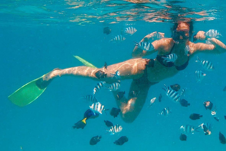 Zanzibar dolphins+ snokling at mnemba with turles swimming