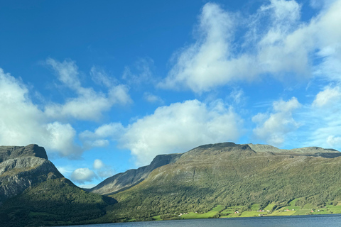 Bergen: Hiking Tour with Navigation Course